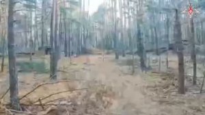 Уничтожение живой силы ВСУ в блиндаже с помощью FPV-дрона