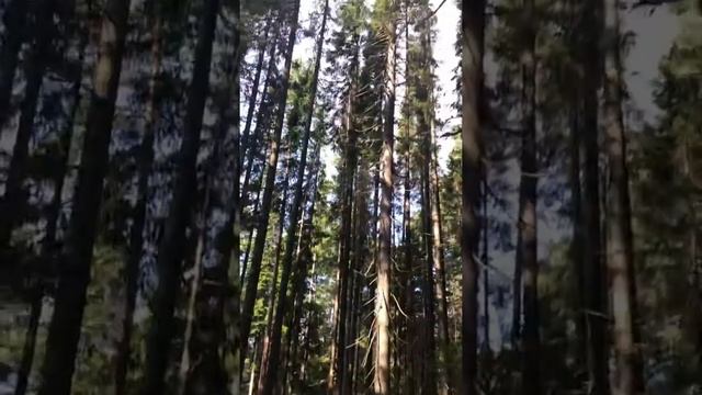 Пермский край . смотреть онлайн