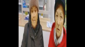 Отправка подписей за Чрезвычайные Полномочия Президенту VID20241112132716