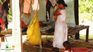 Где то в джунглях Амазонки