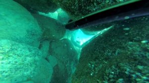 Подводная охота в Черном море. Туапсинский район. Конец июля 2024