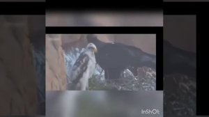 Жандуу организмдердин озгочолугу Жана айлана-чойросу