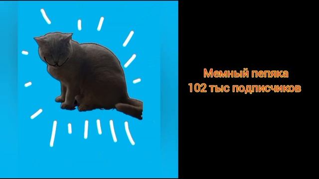 блогеры по подписчикам смотреть онлайн