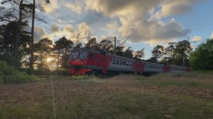 Электропоезд ЭД4М-0384, перегон Белоостров - Сестрорецк