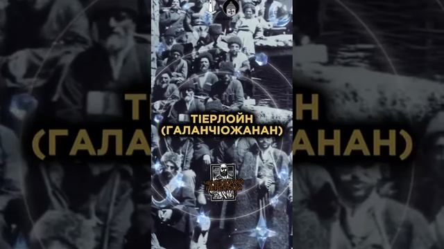 Диалекты Чеченцев! #чечня #чеченцы #грозный #чечнягрозный #история #языки