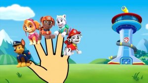 Finger Family Collection Pokemon GO Top 10 Finger Family Songs Finger Family Song Paw Patrol