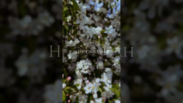 разбор матрицы судьбы 999р