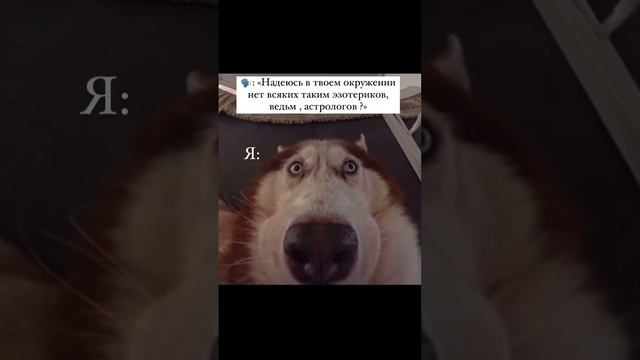 расклад таро 499р