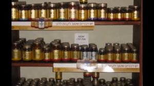 מצגת Q10 ענת ואורטל