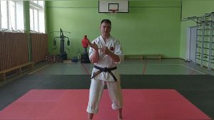 Ката Тенсе, стили Годзю-рю, экзамены по карате, как часто делать ката? Морио Хигаонна