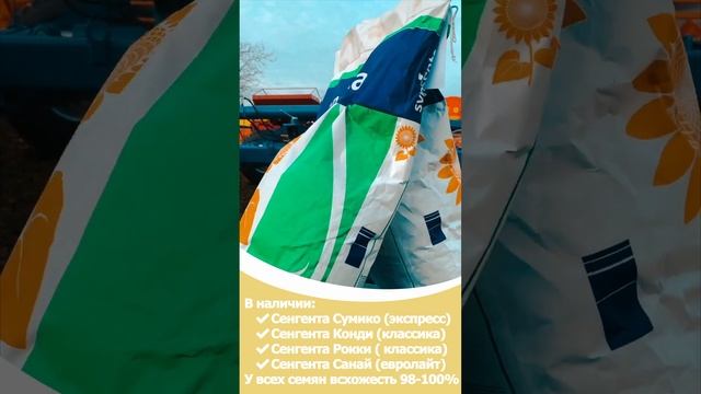 В Наличии!!! Подсолнечник SYNGENTA  #сельскоехозяйство #краснодарскийкрай #фермер #импортозамещение