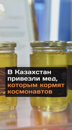 В Казахстан привезли мед, которым кормят космонавтов