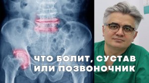 Что нужно проверить перед заменой тазобедренного сустава | HIP-Spyne syndrome