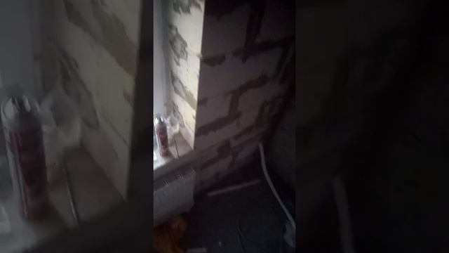 Проблемы в новостройке от компании Дальпитерстрой.