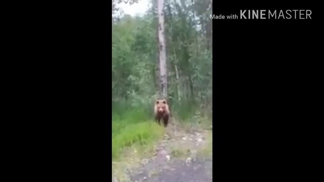 ТЕСТ НА ПСИХИКУ!ПОПРОБУЙ НЕ ЗАСМЕЯТЬСЯ!КТО ЗАСМЕЯТЬСЯ ИЛИ УЛЫБНЕТСЯ ЛАЙК! смотреть онлайн