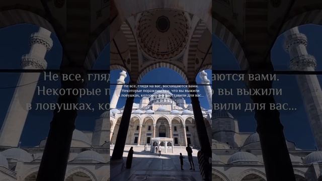 консультация психолога 2500