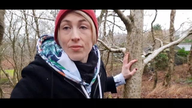 Eckhart Tolle - A REVIEW of his exercise for inner peace (& FREE BOOKS!) смотреть онлайн