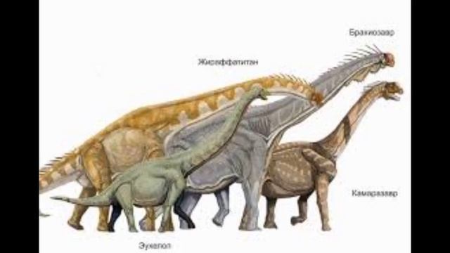 Классификация динозавров