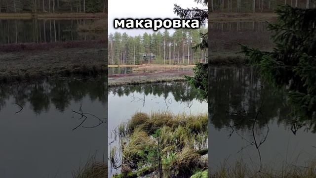 Тут прошло детство! Озеро Макаровка.