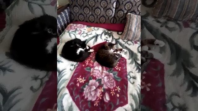 #3.5 Кому на Руси жить хорошо... смотреть онлайн