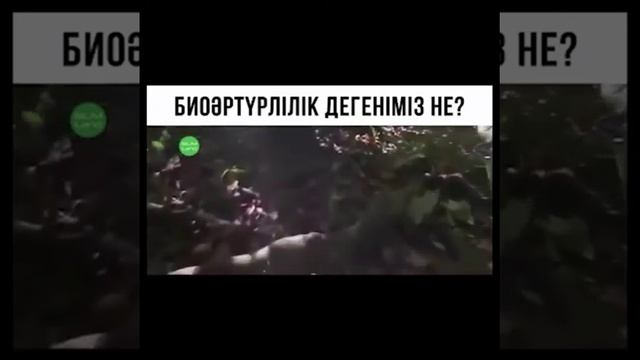 5-сынып, Жаратылыстану пәні, Сабақтың тақырыбы: "Тірі ағзалардың алуан түрлілігі"