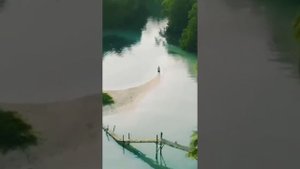 Мои родные Клетки тела✨