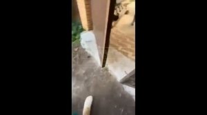 МИГРАНТ ПРИСТАВАЛ К ДЕВОЧКЕ .#мигранты,#полиция.