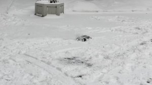 Колеса для RC моделей из TPU