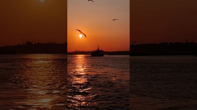 разбор матрицы судьбы 999р