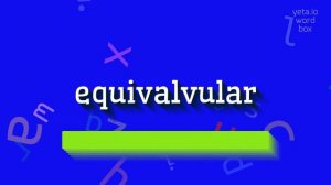 EQUIVALVULAR - HOW TO SAY EQUIVALVULAR? #equivalvular