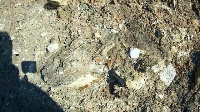 Katharsis (2023) смотреть онлайн