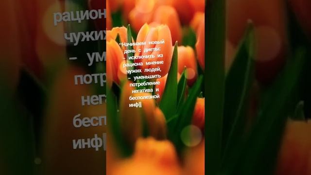 #жизнь #наблюдаюсебя #счастьевнутри
