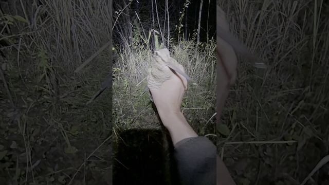 ОХОТА ГОЛЫМИ РУКАМИ при помощи фонаря ARMYTEK #shorts
