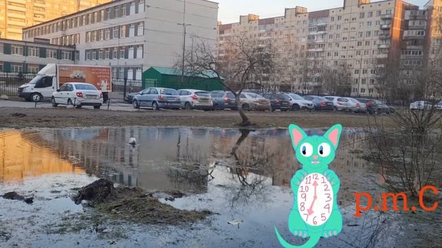 Мысли в апреле. Стихи читает автор.