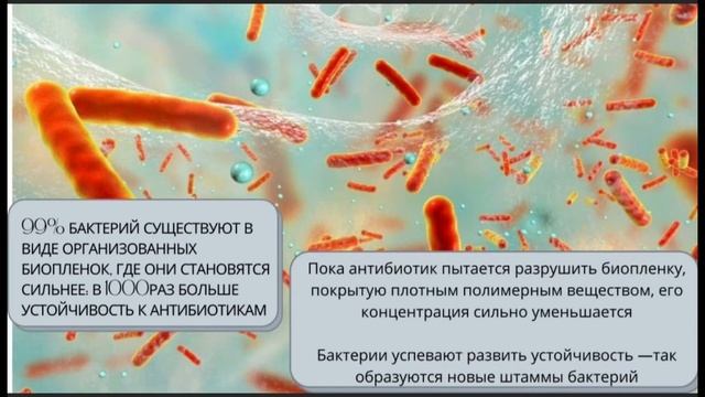 Кишечник. Часть 2