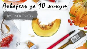 Рисуем кусочек тыквы акварелью за 10 минут. Быстрые зарисовки. Акварель для новичков