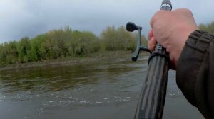 Исеть - большая вода 3.05.24. Beronia - Silver Satellite (2017)