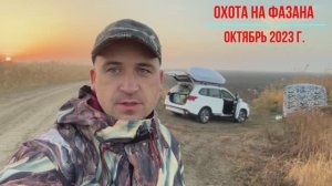 Охота на фазана  Краснодарский край  Октябрь 2023 г