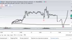 NG, натуральный газ. После отработки цели куда ждать? Обзор на 13.11.2024