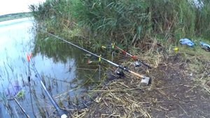 Рыбалка с НОЧЁВКОЙ. ПОДЛЕЩИК на ФИДЕР. Не успеваем тягать краснопёрку. САЛО В ФОЛЬГЕ на костре.