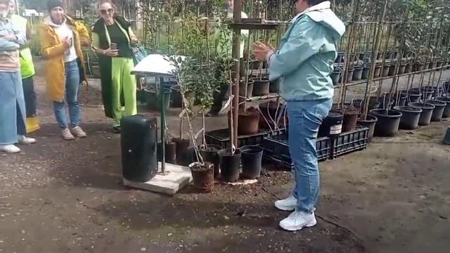 Кормилица микориза работает на деревьях! Результат вас шокирует! Садовый центр Версаль