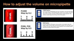 How to adjust the volume on micropipette