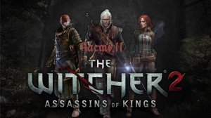 The Witcher 2 Assassins Of Kings Enhanced Edition кладбище как получить стяг бурой хоругвь часть 11