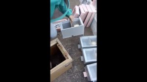 23.05.2020г. Заселяем нуклеусы.
