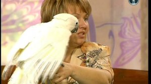 В мире животных с Николаем Дроздовым 2012 г Выпуск - 25