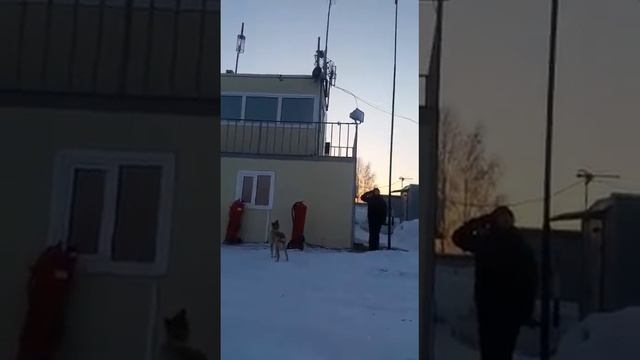 Лайка и гимн