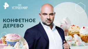 Конфетное дерево — Как устроен мир с Тимофеем Баженовым (06.05.2024)