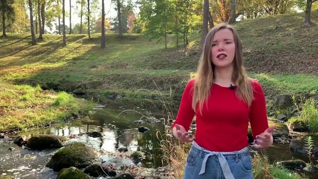 Екатерина Спиридонова - Синквейн 2024