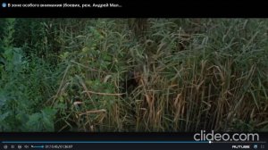 Музыкальные отрывки из фильма "В зоне особого внимания". Ссылка на статью о фильме в комментарии.