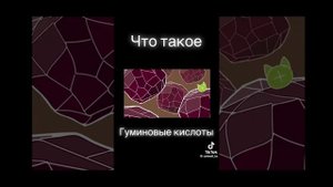 Гуминовые кислоты